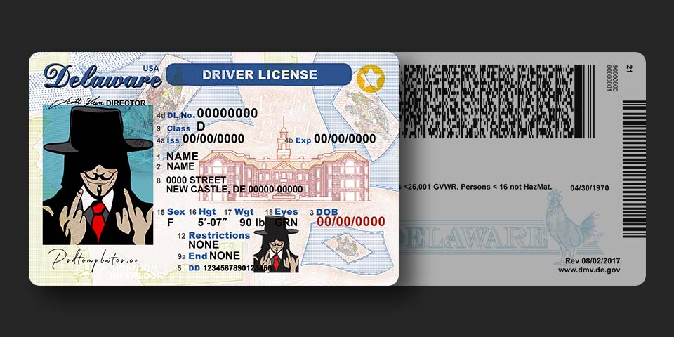 Delaware driver license usa
