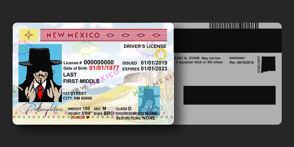 USA New Mexico driver license